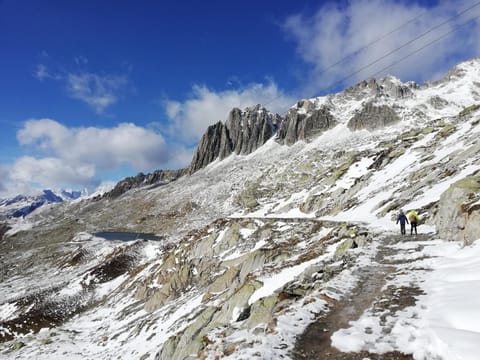 Ferienwohnung Casa Ursina Apartment in Canton of Grisons