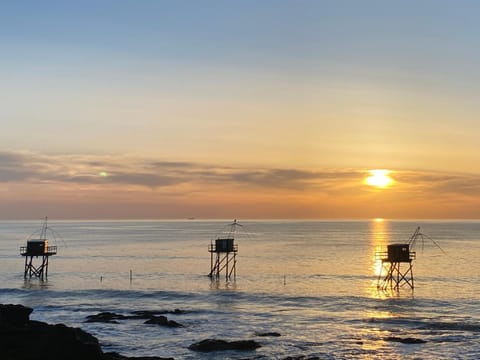 Beach, Sea view, Sunset