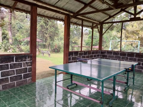 Table tennis