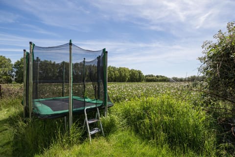 Activities, Children play ground, View (from property/room), Entertainment