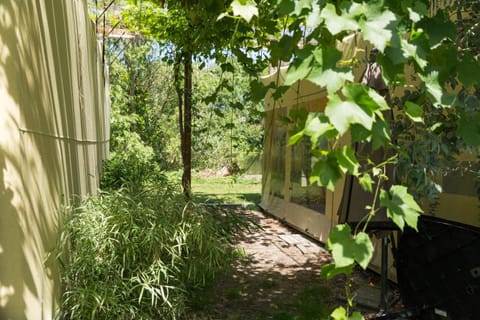 Patio, Garden