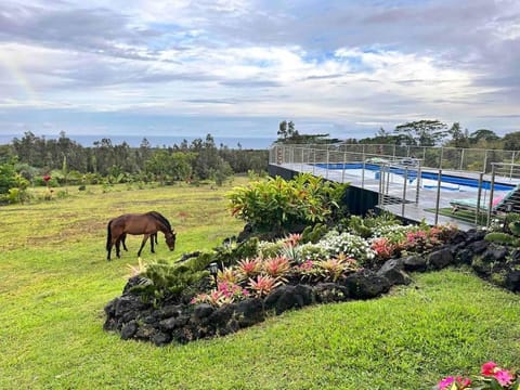 Māla o Kilauea Nature Retreat Villa in Big Island