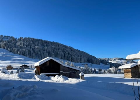 Le Chalet du Crêt - 8 pers, tout confort avec Jacuzzi Chalet in Notre-Dame-de-Bellecombe