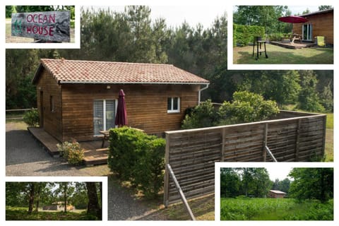 Property building, Garden view