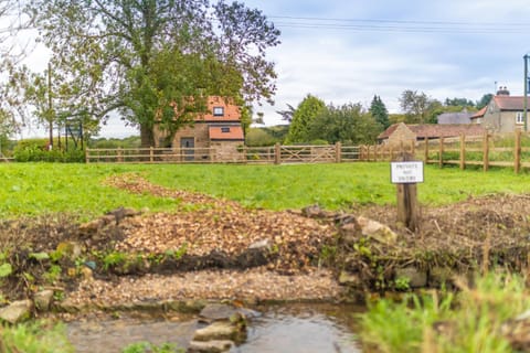 Natural landscape, Garden view