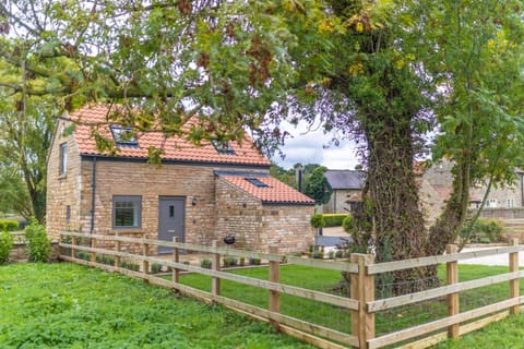 Property building, Garden, Garden view