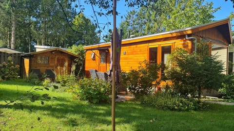 Property building, Garden, Garden view