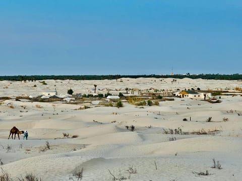 Property building, Day, Natural landscape