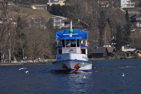 Ferienwohnung Alpenseepark Copropriété in Mondsee