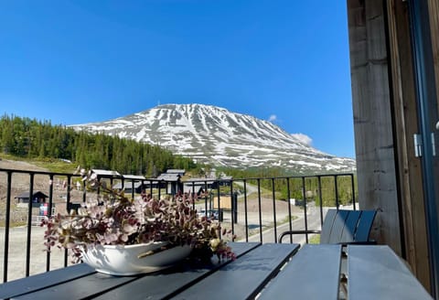 Spring, View (from property/room), Balcony/Terrace, Mountain view