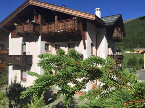 Property building, Day, Natural landscape, Garden, Garden view