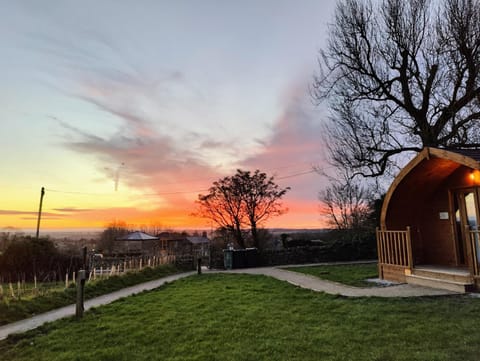 Property building, Natural landscape, Sunrise