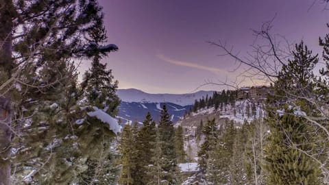 Twin Eagles Lodge House in Breckenridge