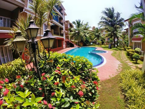 Pool view, Swimming pool