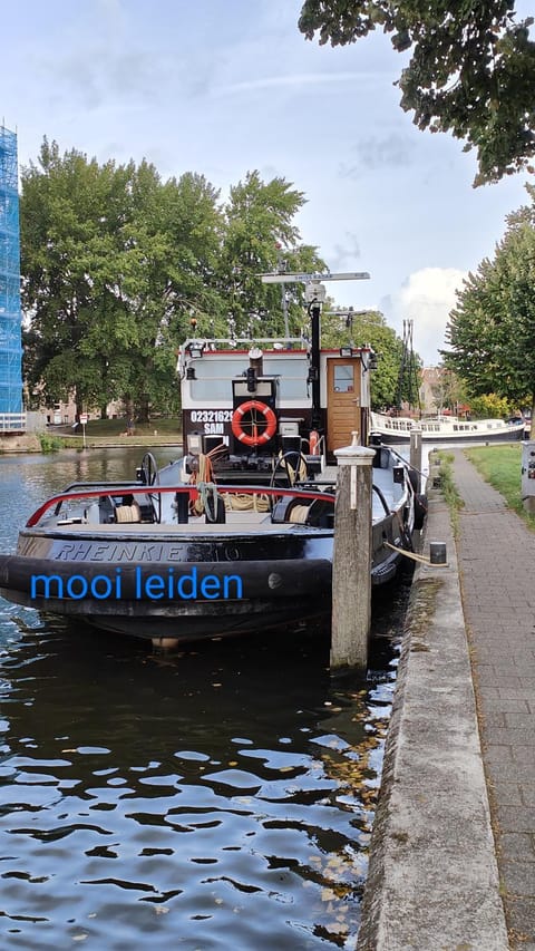 mooi leiden Bateau amarré in Leiden