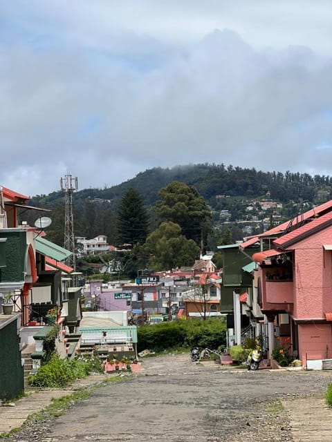 Day, Neighbourhood, City view, Street view