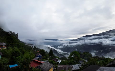 Sweet Tea Villa Nature lodge in Darjeeling