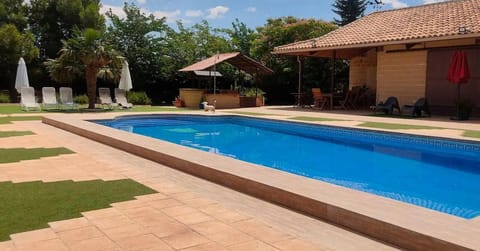 Garden, Garden view, Pool view, Swimming pool, Swimming pool, sunbed