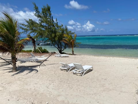 The Banana Bird at Cottages House in Grand Cayman