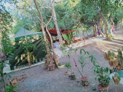 Garden view