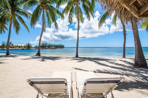 Beach, sunbed