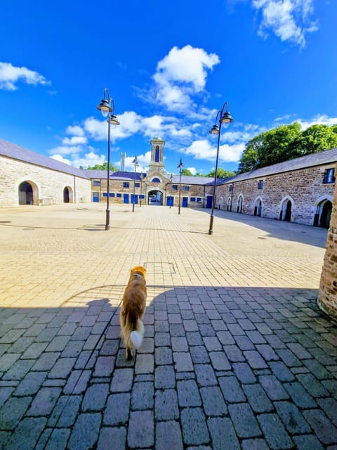 Castle Irvine Estate Hotel in Leitrim, Co. Leitrim, Ireland