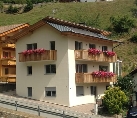 Property building, Summer, Other