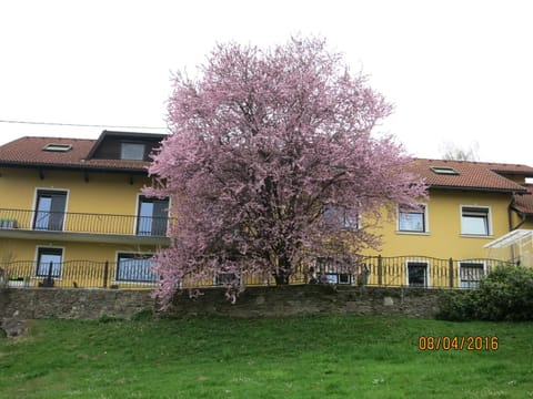 Ferienwohnungen Kremsbrucker Condo in Klagenfurt