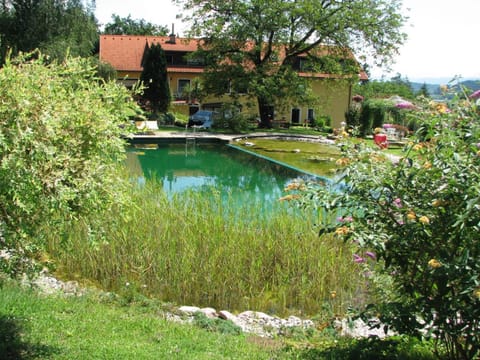 Swimming pool, Swimming pool