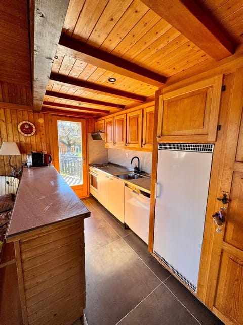 Kitchen or kitchenette, dishwasher, minibar, oven, stove