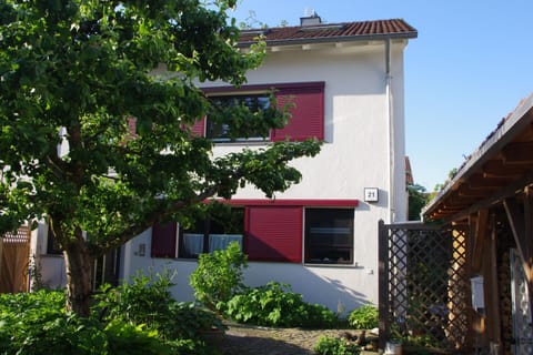 Property building, Garden view