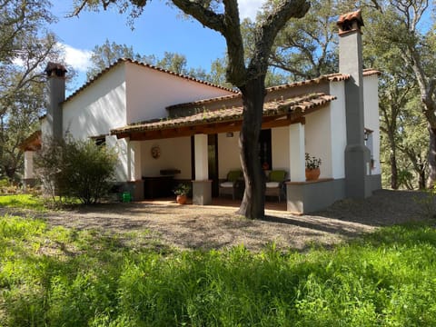 Property building, Facade/entrance, Garden