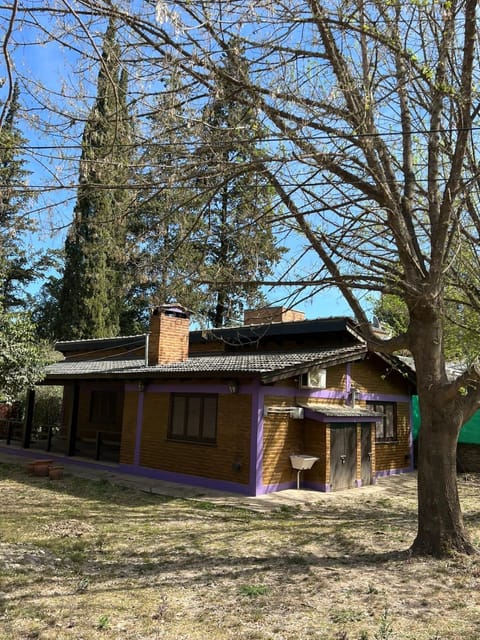 Property building, Day, Garden, Garden view