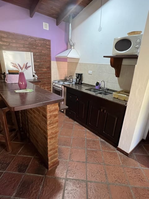 Kitchen or kitchenette, minibar, pet friendly, stove