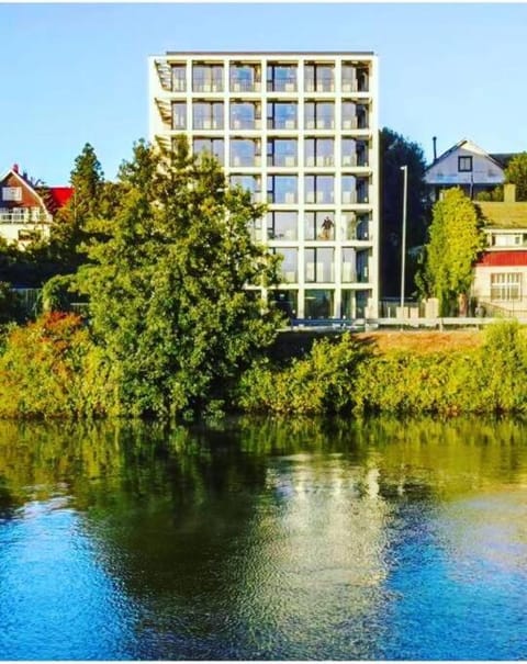 Apartamento Greta Río CalleCalle Condo in Valdivia