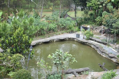 Serenity on a 1740m² land Villa in Lembang
