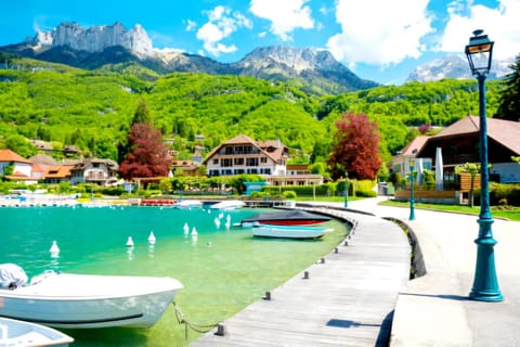 Annecy location prestige " Domaine avec vue incroyable sur le lac d'Annecy" Villa in Menthon-Saint-Bernard