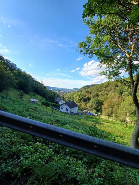 Ferienwohnung Neli am Rhein Apartment in Ahrweiler