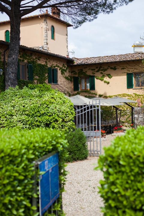 Garden, Garden view, Garden view