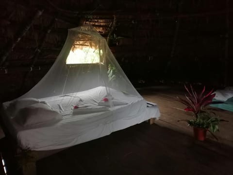 Ditsowou Lodge & Tours Hostel in Bocas del Toro Province