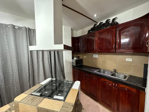 Alona Park Residence - 3 bedroom apartment- alex and jesa unit Condominio in Panglao