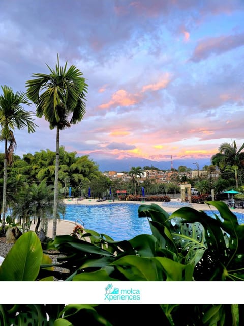 Day, Pool view, Swimming pool