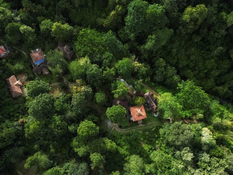 Natural landscape, Bird's eye view