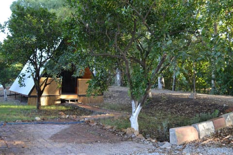 Asırlık Doğal Yaşam Köyü Camping Condominio in Antalya