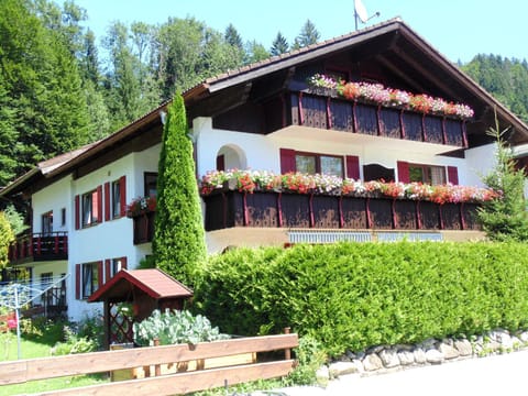 Property building, Spring