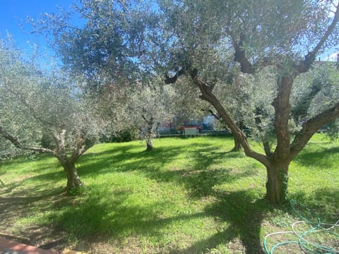Garden, Garden view