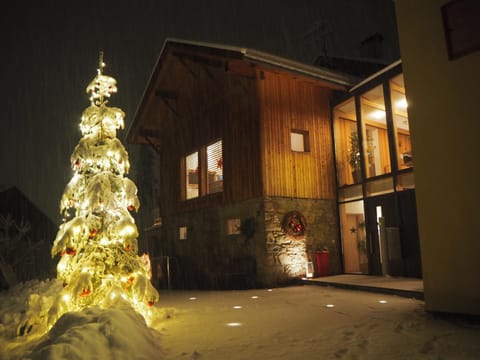 Facade/entrance, Night, Winter