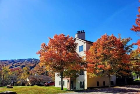 Autumn, Mountain view