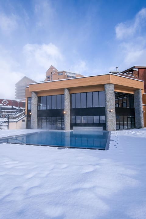 Winter, Sauna, Swimming pool