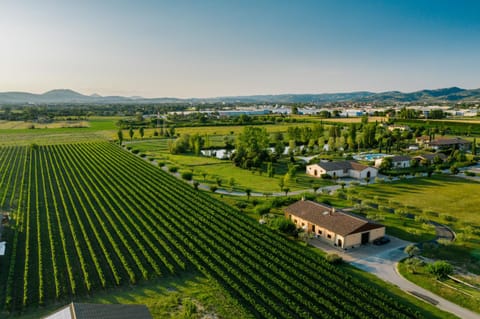 Bird's eye view, Garden